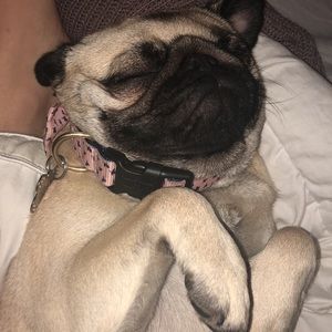 Meet your Posher, Destiny